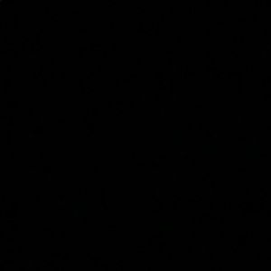 Meet your Posher, Braelyn